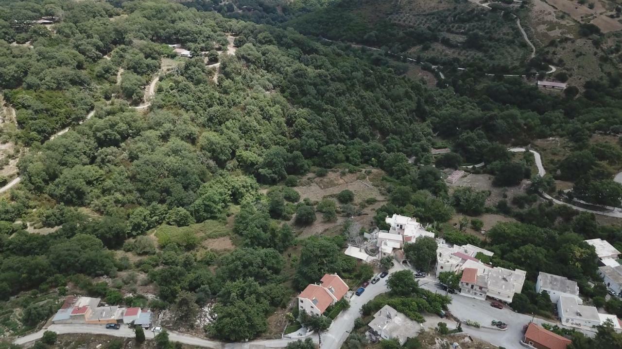 Irini΄S House Villa Alonai Exterior photo